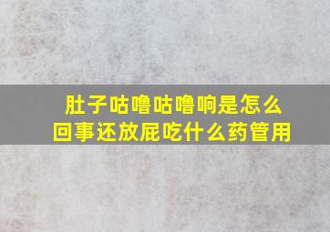 肚子咕噜咕噜响是怎么回事还放屁吃什么药管用