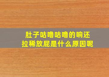 肚子咕噜咕噜的响还拉稀放屁是什么原因呢