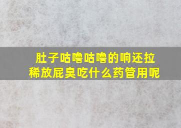 肚子咕噜咕噜的响还拉稀放屁臭吃什么药管用呢