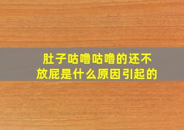 肚子咕噜咕噜的还不放屁是什么原因引起的