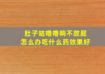 肚子咕噜噜响不放屁怎么办吃什么药效果好