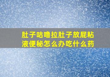 肚子咕噜拉肚子放屁粘液便秘怎么办吃什么药