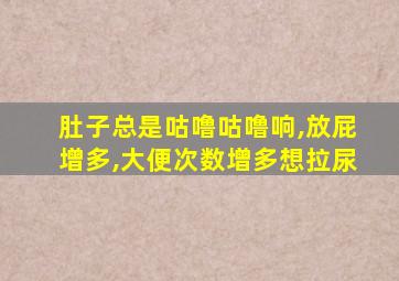 肚子总是咕噜咕噜响,放屁增多,大便次数增多想拉尿