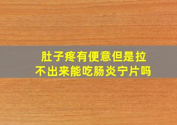 肚子疼有便意但是拉不出来能吃肠炎宁片吗