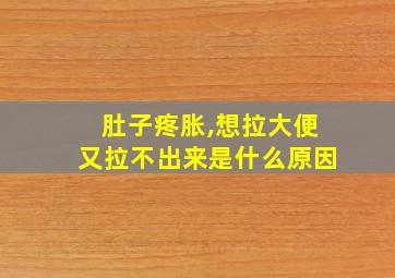 肚子疼胀,想拉大便又拉不出来是什么原因