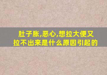 肚子胀,恶心,想拉大便又拉不出来是什么原因引起的