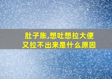 肚子胀,想吐想拉大便又拉不出来是什么原因