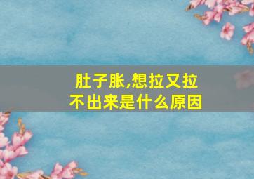 肚子胀,想拉又拉不出来是什么原因