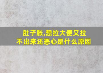 肚子胀,想拉大便又拉不出来还恶心是什么原因