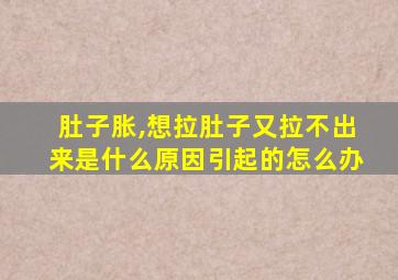 肚子胀,想拉肚子又拉不出来是什么原因引起的怎么办