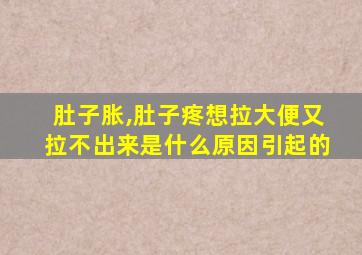 肚子胀,肚子疼想拉大便又拉不出来是什么原因引起的