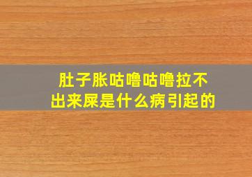 肚子胀咕噜咕噜拉不出来屎是什么病引起的