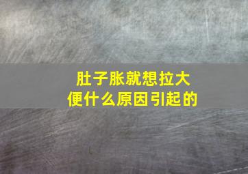 肚子胀就想拉大便什么原因引起的