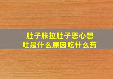 肚子胀拉肚子恶心想吐是什么原因吃什么药