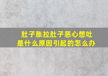 肚子胀拉肚子恶心想吐是什么原因引起的怎么办