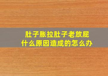 肚子胀拉肚子老放屁什么原因造成的怎么办