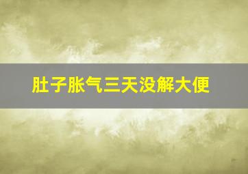 肚子胀气三天没解大便