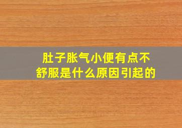 肚子胀气小便有点不舒服是什么原因引起的