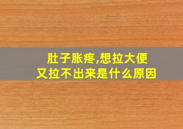 肚子胀疼,想拉大便又拉不出来是什么原因