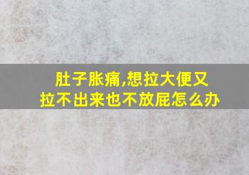 肚子胀痛,想拉大便又拉不出来也不放屁怎么办