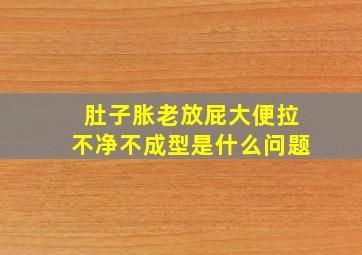 肚子胀老放屁大便拉不净不成型是什么问题