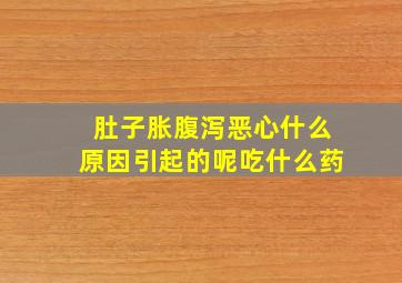 肚子胀腹泻恶心什么原因引起的呢吃什么药