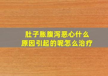 肚子胀腹泻恶心什么原因引起的呢怎么治疗