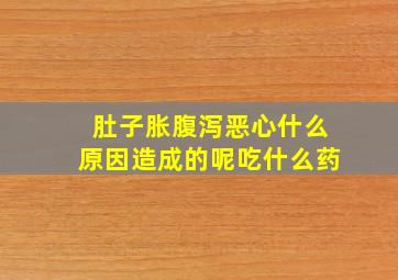 肚子胀腹泻恶心什么原因造成的呢吃什么药