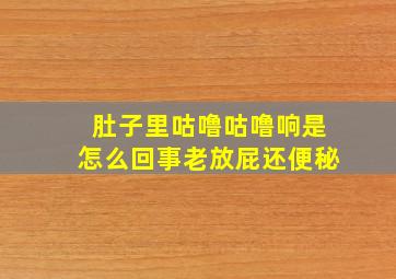 肚子里咕噜咕噜响是怎么回事老放屁还便秘