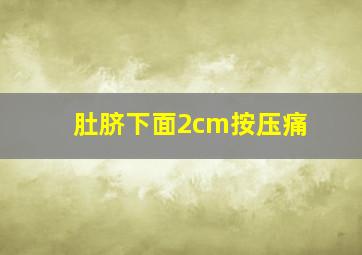 肚脐下面2cm按压痛