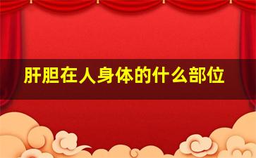 肝胆在人身体的什么部位