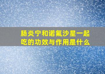 肠炎宁和诺氟沙星一起吃的功效与作用是什么