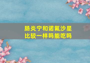 肠炎宁和诺氟沙星比较一样吗能吃吗