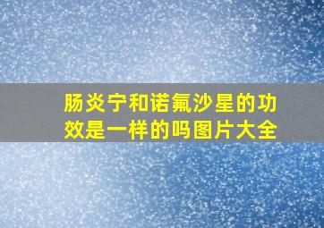 肠炎宁和诺氟沙星的功效是一样的吗图片大全