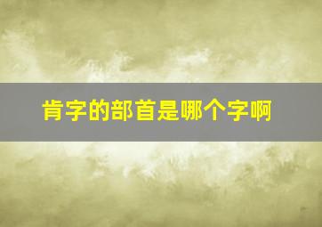 肯字的部首是哪个字啊