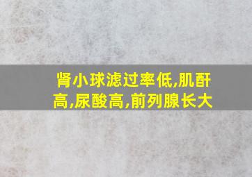 肾小球滤过率低,肌酐高,尿酸高,前列腺长大