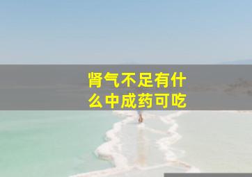 肾气不足有什么中成药可吃