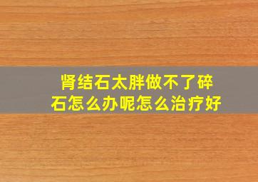 肾结石太胖做不了碎石怎么办呢怎么治疗好