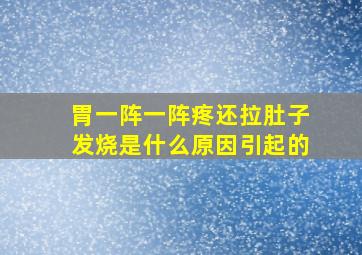 胃一阵一阵疼还拉肚子发烧是什么原因引起的