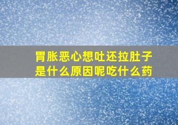 胃胀恶心想吐还拉肚子是什么原因呢吃什么药