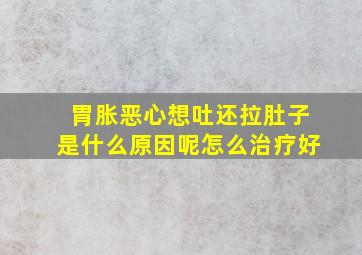 胃胀恶心想吐还拉肚子是什么原因呢怎么治疗好