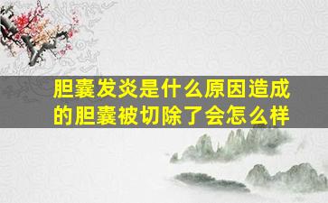 胆囊发炎是什么原因造成的胆囊被切除了会怎么样