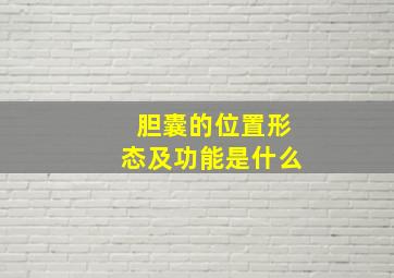 胆囊的位置形态及功能是什么