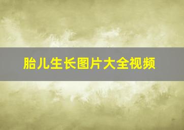 胎儿生长图片大全视频