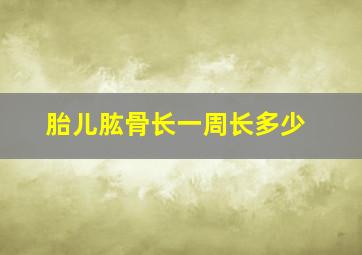 胎儿肱骨长一周长多少