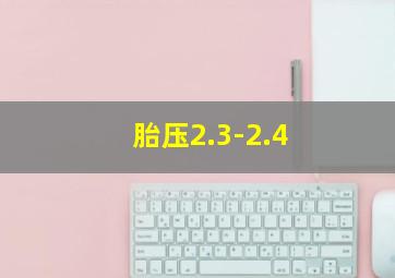 胎压2.3-2.4