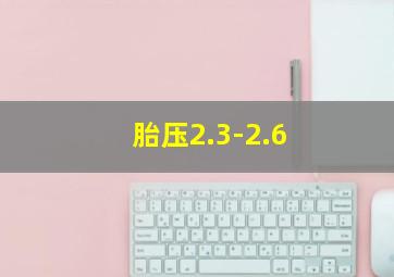 胎压2.3-2.6