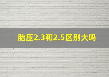 胎压2.3和2.5区别大吗