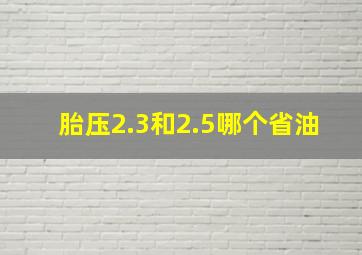 胎压2.3和2.5哪个省油