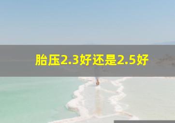 胎压2.3好还是2.5好